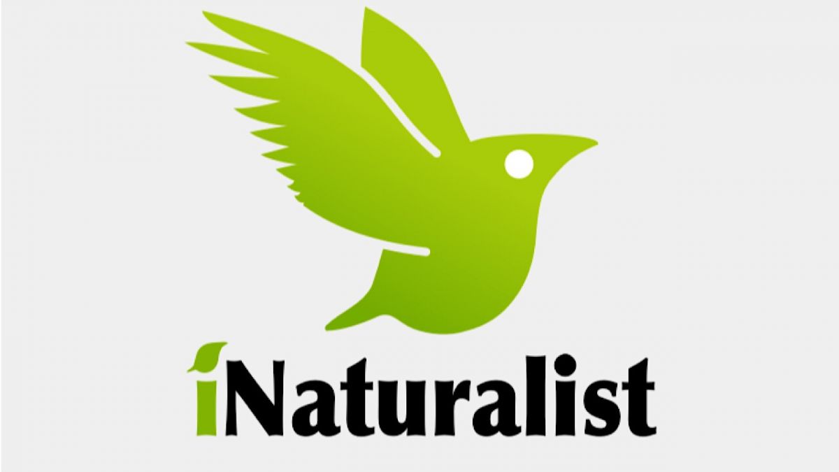 inaturalist.jpg
