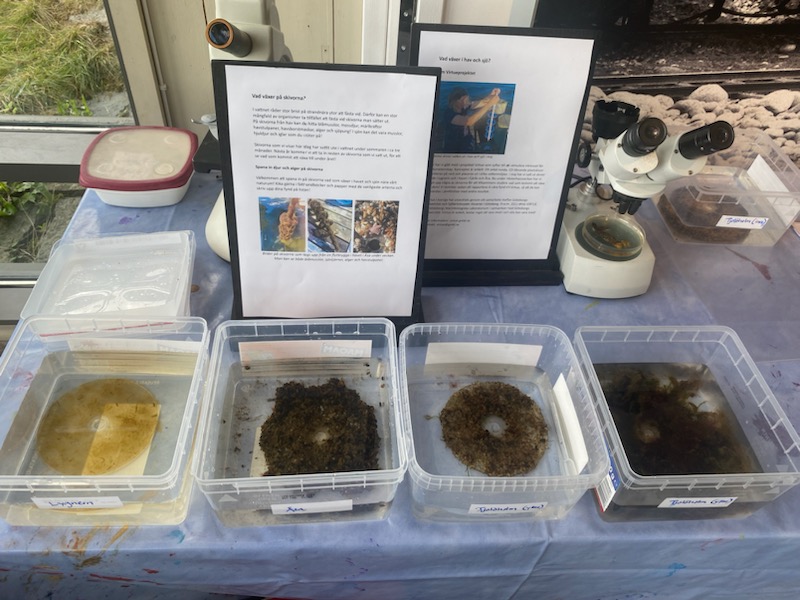 Fjärås naturum 2024